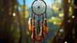 Feathered Dreamcatcher  Native American Dreamcatcher