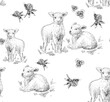 Beautiful pencil drawn rustic pattern with sheep on a white background.