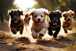 puppies running around.
Generative AI