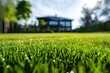 Mowed grass on a vast garden, a house in the blurred background.