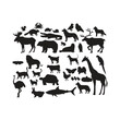 wild animal design - eps 10