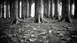  a black and white photo of a group of trees in a forest with leaves on the ground and on the ground.