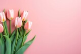 Fototapeta Tulipany - Blushing tulips on pink whisper of elegance, gentle grace in a soft-focus world. Copy space
