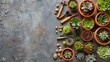 Succulent plants and gardening tools on concrete background with space for creativity