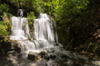 Jolie cascade aux eaux abondantes, dans une trouée de lumière au milieu d'une forêt, en pose lente. Source de l'Adoux, Châtillon-en-Diois