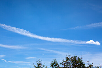 Wall Mural - Blue Sky Background with white clouds and green trees.