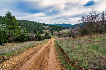 Wall Mural - Mountain country road at Attica, Greece.