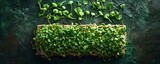 Fototapeta  - What is a Microgreen?. Concept Microgreens are young vegetable greens harvested just after the cotyledon leaves have developed, typically between 1-3 weeks after germination,