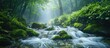A stream of water flows through a dense, vibrant green forest, surrounded by tall trees, moss-covered rocks, and lush undergrowth.