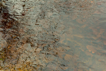 Sticker - water in a puddle..