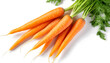 Fresh organic carrots, a vibrant delight for wholesome cooking