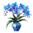 blue orchids in blue ceramic vase, potted indoor ornamental plant (Phalaenopsis, Cattleya, Vanda), in pot, isolated on a transparent background. 