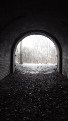 Wall Mural - exit from the old abandoned brick arch tunnel of the 19th century fortification in the woods. dollin
