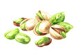 Pistachios. Watercolor hand drawn illustration, isolated on white background