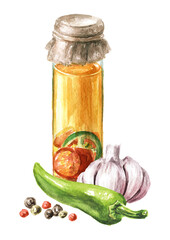 Spicy salad oil with chili pepper and garlic. Hand drawn watercolor illustration, isolated on white background 