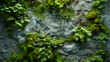 Closeup of Moss and Ferns Creating a Nature Retreat. Generative AI