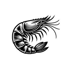 Monochrome shrimp engraved isolated vector illustration