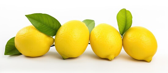 Canvas Print - Vibrant Citrus Trio: Three Fresh Lemons with Lush Green Leaves on White Background