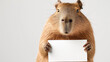 Cute capybara holding a blank white card, copy space on the left