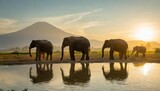 Fototapeta Sawanna - A group of elephant families go to the water's edge for a drink - African elephants standing near lake