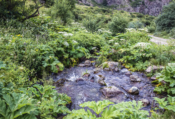 Poster - View from trail to Gveleti Waterfall in Dariali Gorge in Kazbegi National Park, Georgia