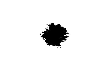 Poster - black ink liquid splash background