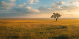 Fototapeta Sawanna - Serene Landscape: Lone Tree in Vast Golden Field Under Expansive Sky. Kazakhstan steppe. Banner with copy space