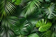 © Bijac - Tropical palm leaves creating a lush background Perfect for summer vibes and nature themes.