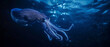 a giant squid swimming under the deep dark blue sea