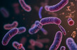 Scientific image of bacteria Bacteroides, Gram-negative anaerobic bacterium, one of the major components of normal microbiome of human intestine