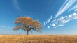 A tree under a blue sky over a crop field