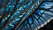 Pattern of dark blue butterly wings texture close up macro design details from Generative AI