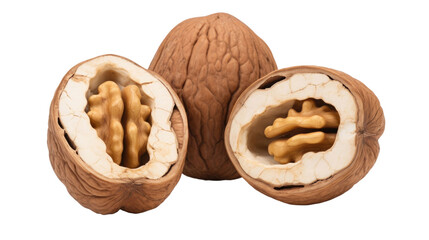walnut peeled and in shell on a white isolated background