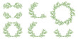 Luxury botanical green frame elements on white background. Set of round shapes, eucalyptus leaves, leaf branches. Elegant foliage design for wedding, cards, invitations, congratulations