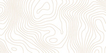 Topographic Map Background Geographic Line Map Pattern .panorama View Light Brown Color Wave Curve Lines .geographic Mountain Relief Abstract Grid .the Concept Map Of A Conditional Geography Map .