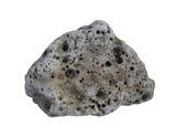 Fototapeta Desenie - White dead coral rocks or brain coral stone with transparent image.