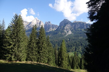 Poster - Monte Cernera bei Pescul