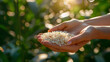 A person holding a small pile of grains rice in their hands.