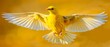  a yellow bird flying through the air with it's wings wide open and it's wings spread wide.