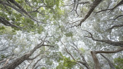 Canvas Print - tree in the forest