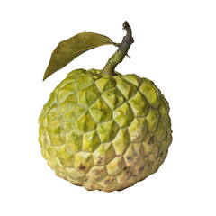 Poster - Fresh Annona isolated on transparent, white background