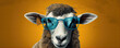 Funny sheep with cool glasses with colored tie.  On color ful vivid background.