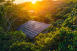 A solar panel located in the midst of a dense forest surrounded by green trees under sunlight.