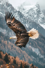  Majestic Eagle Soaring High Over Snowy Mountain Peaks Banner