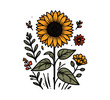  Common sun flower hand drawn illustration vector
