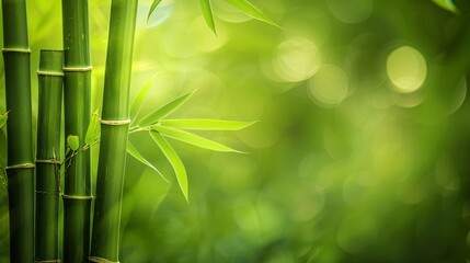 Bamboo stalks vertical lines of tranquility on a peaceful green background a symbol of strength and flexibility with generous copyspace