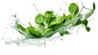 Spinach sliced pieces flying in the air with water splash isolated on transparent png.
