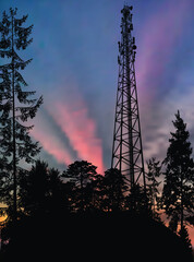 Wall Mural - antenna tower silhouette in black forest at pink sky background