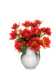 Bouquet of red terry tulips in a white ceramic vase on a white background isolated