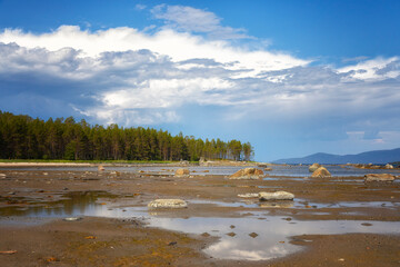 Wall Mural - Littoral of the White Sea at low tide on summer